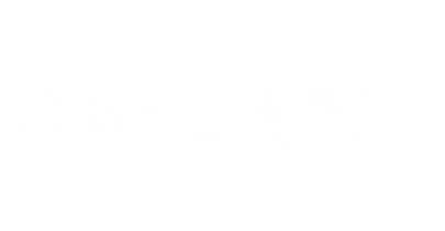 partners who work with icecasino